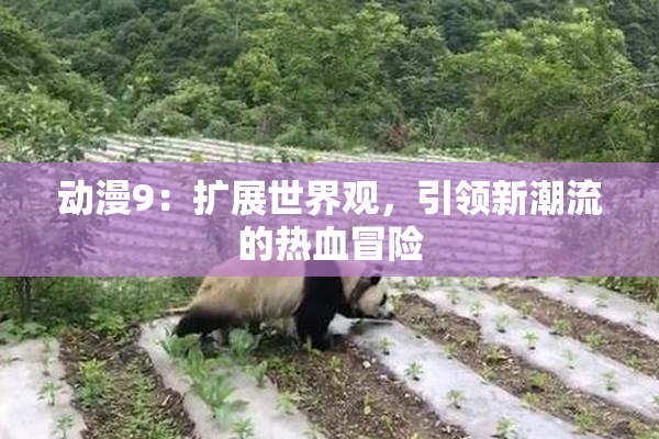 动漫9：扩展世界观，引领新潮流的热血冒险