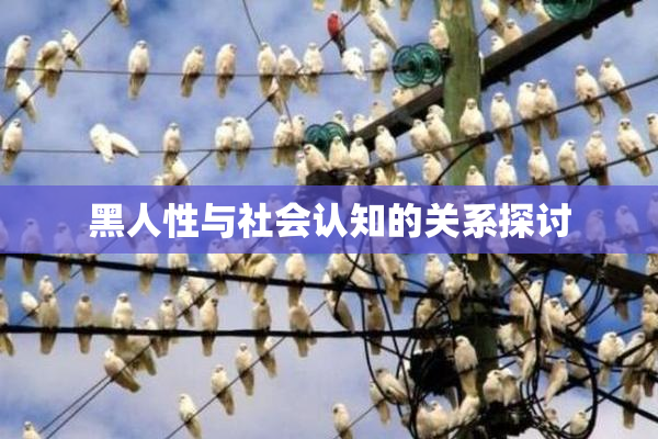 黑人性与社会认知的关系探讨