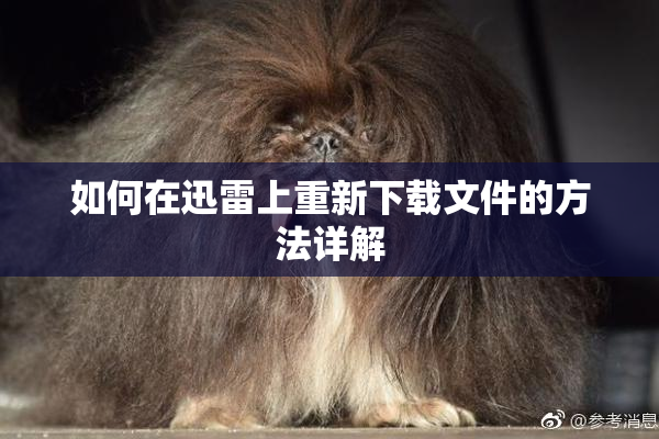 如何在迅雷上重新下载文件的方法详解