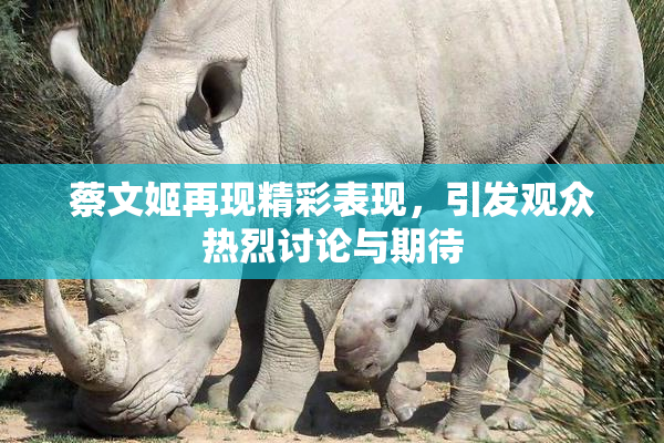 蔡文姬再现精彩表现，引发观众热烈讨论与期待