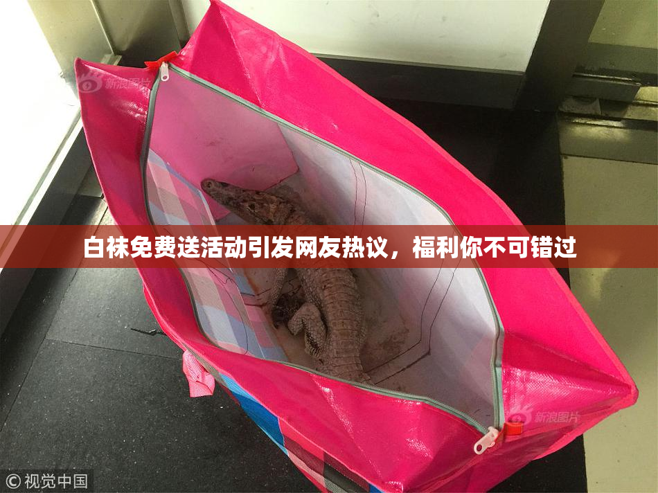 白袜免费送活动引发网友热议，福利你不可错过