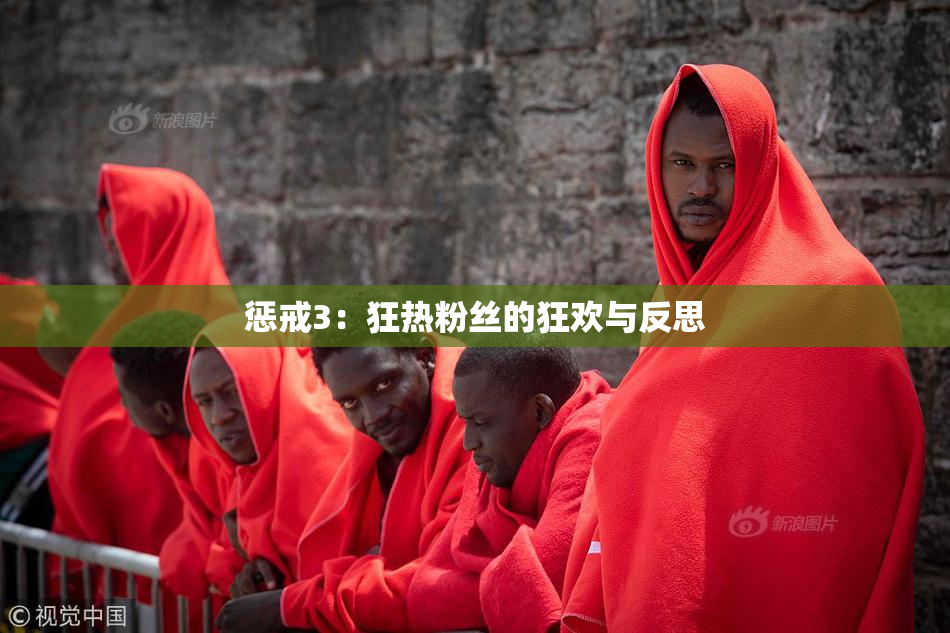 惩戒3：狂热粉丝的狂欢与反思