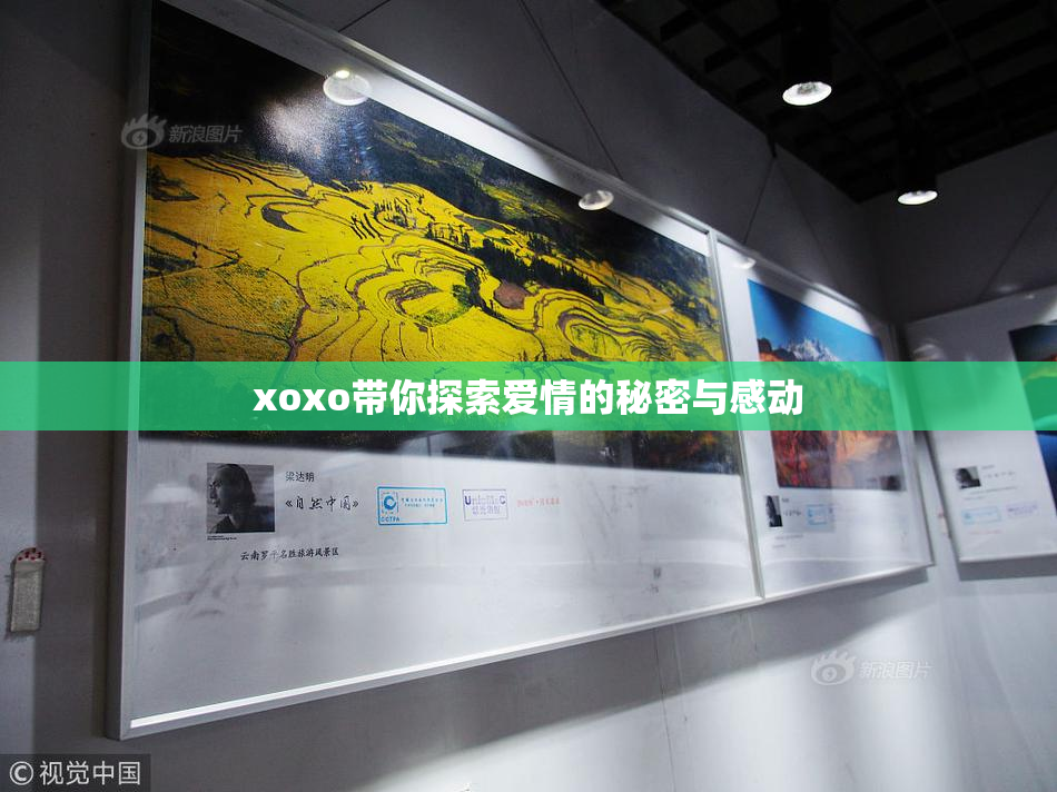 xoxo带你探索爱情的秘密与感动