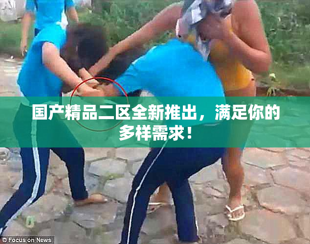 国产精品二区全新推出，满足你的多样需求！