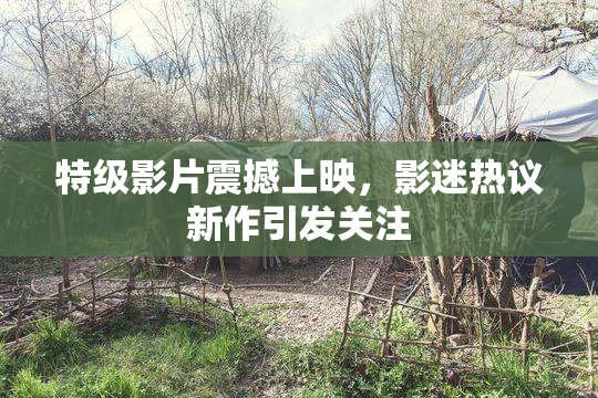 特级影片震撼上映，影迷热议新作引发关注