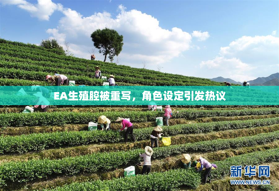 EA生殖腔被重写，角色设定引发热议