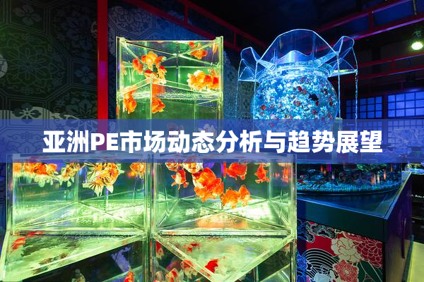 亚洲PE市场动态分析与趋势展望