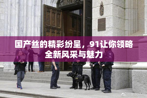 国产丝的精彩纷呈，91让你领略全新风采与魅力