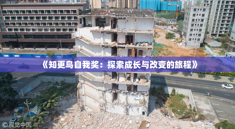 《知更鸟自我奖：探索成长与改变的旅程》