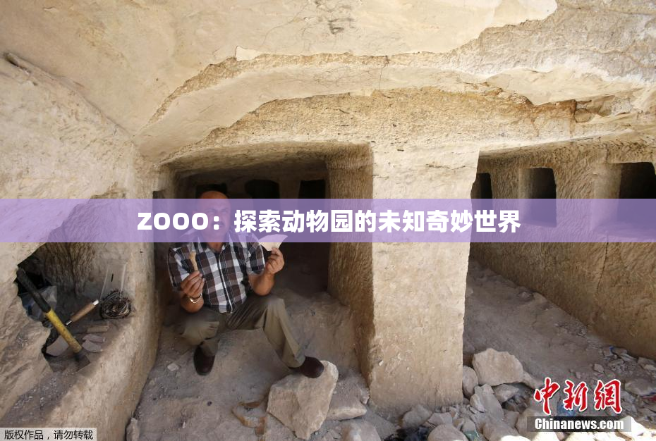 ZOOO：探索动物园的未知奇妙世界