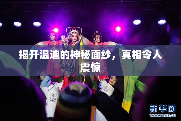 揭开温迪的神秘面纱，真相令人震惊
