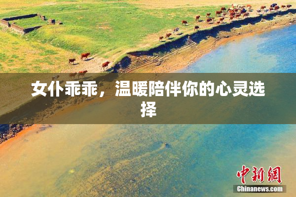 女仆乖乖，温暖陪伴你的心灵选择