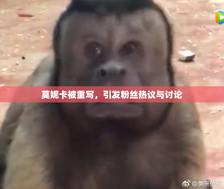 莫妮卡被重写，引发粉丝热议与讨论