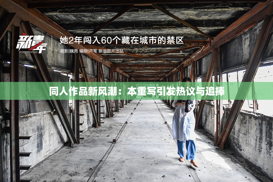 同人作品新风潮：本重写引发热议与追捧