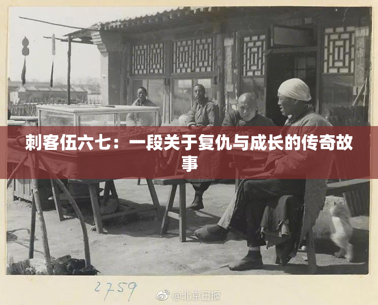 刺客伍六七：一段关于复仇与成长的传奇故事
