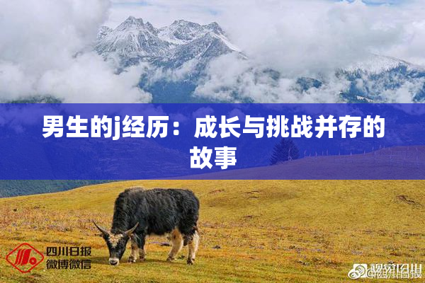 男生的j经历：成长与挑战并存的故事