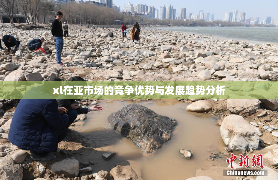 xl在亚市场的竞争优势与发展趋势分析