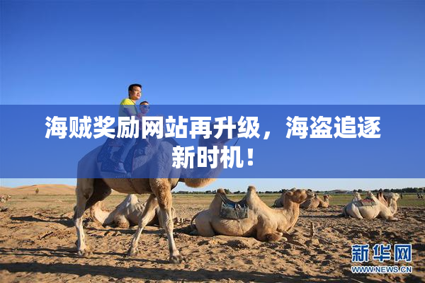 海贼奖励网站再升级，海盗追逐新时机！