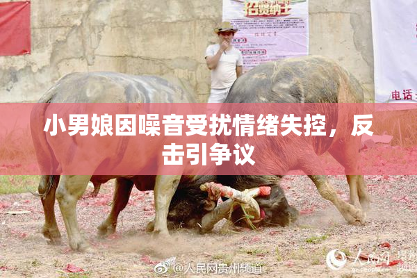 小男娘因噪音受扰情绪失控，反击引争议