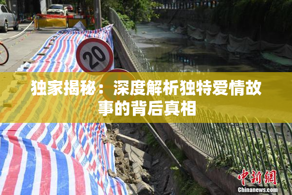 独家揭秘：深度解析独特爱情故事的背后真相
