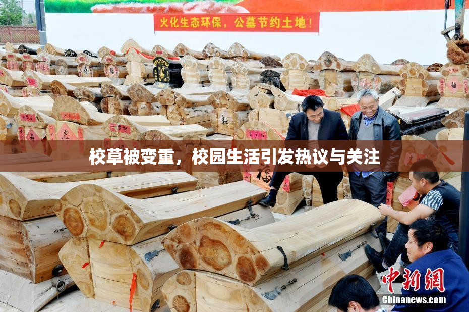 校草被变重，校园生活引发热议与关注