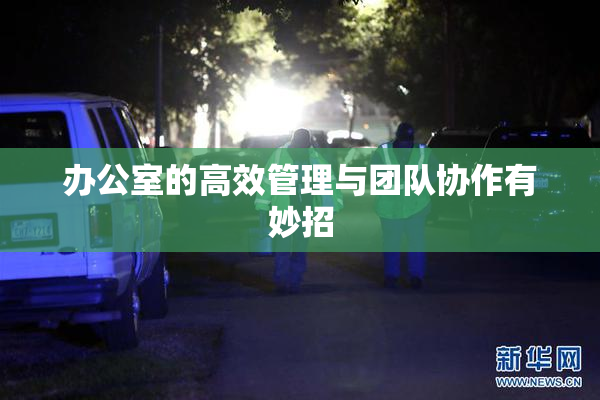 办公室的高效管理与团队协作有妙招