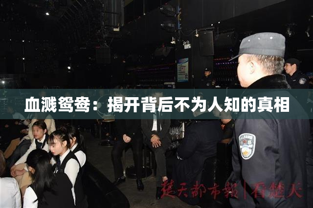 血溅鸳鸯：揭开背后不为人知的真相