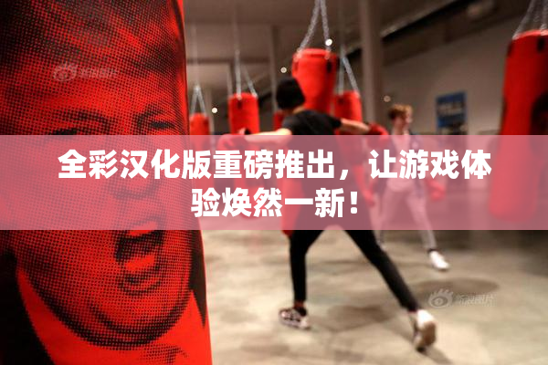 全彩汉化版重磅推出，让游戏体验焕然一新！