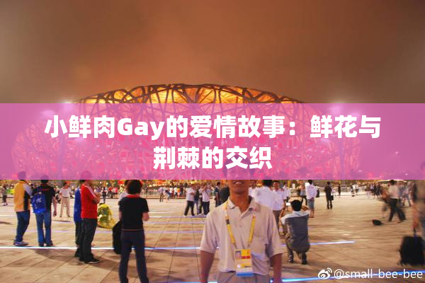小鲜肉Gay的爱情故事：鲜花与荆棘的交织