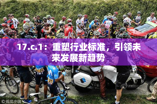 17.c.1：重塑行业标准，引领未来发展新趋势