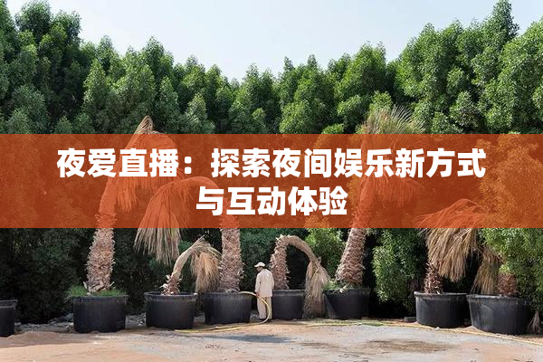 夜爱直播：探索夜间娱乐新方式与互动体验