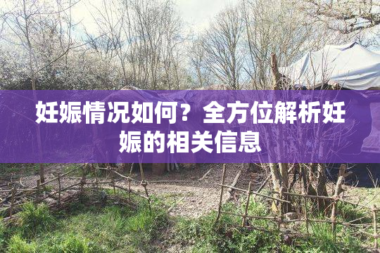 妊娠情况如何？全方位解析妊娠的相关信息