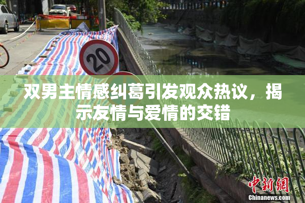 双男主情感纠葛引发观众热议，揭示友情与爱情的交错