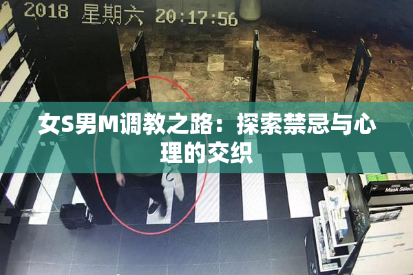 女S男M调教之路：探索禁忌与心理的交织