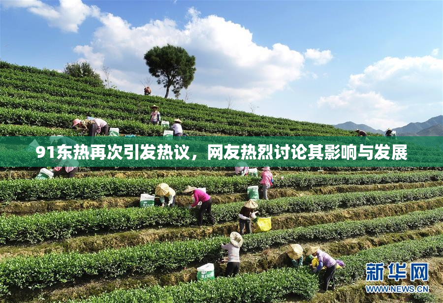 91东热再次引发热议，网友热烈讨论其影响与发展