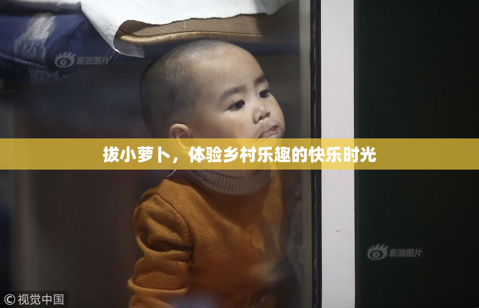 拔小萝卜，体验乡村乐趣的快乐时光