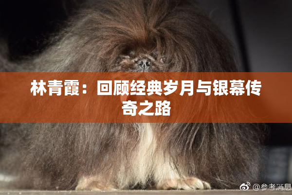 林青霞：回顾经典岁月与银幕传奇之路