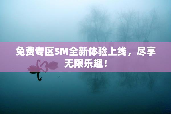免费专区SM全新体验上线，尽享无限乐趣！