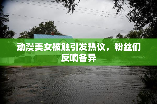 动漫美女被触引发热议，粉丝们反响各异
