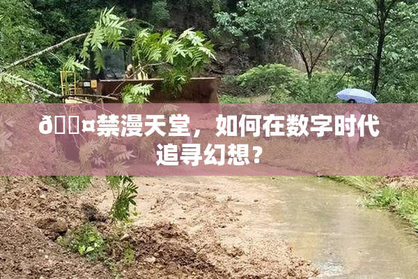 🖤禁漫天堂，如何在数字时代追寻幻想？
