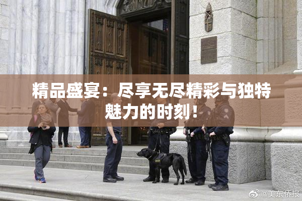 精品盛宴：尽享无尽精彩与独特魅力的时刻！