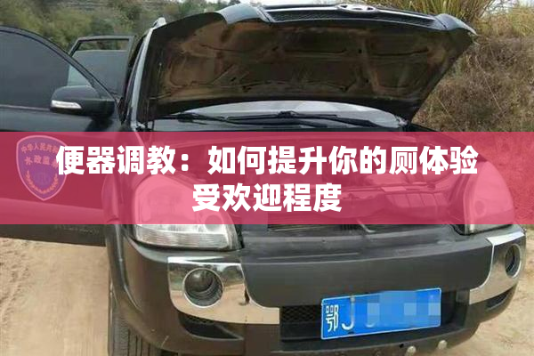 便器调教：如何提升你的厕体验受欢迎程度