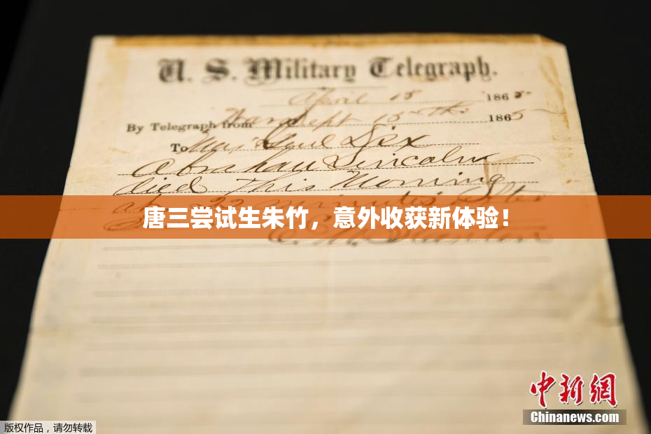 唐三尝试生朱竹，意外收获新体验！