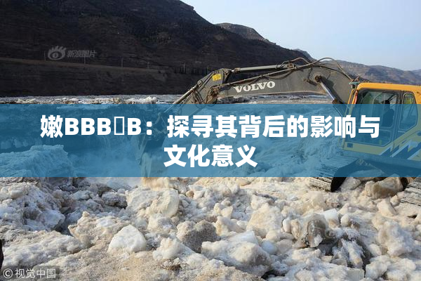 嫩BBB槡B：探寻其背后的影响与文化意义