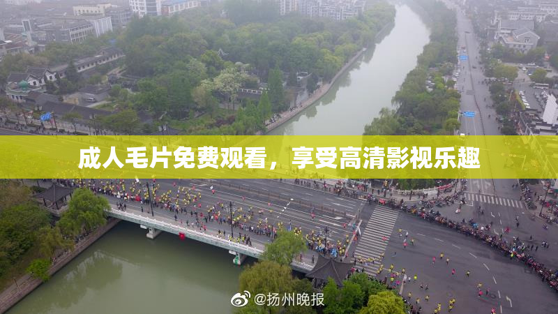 成人毛片免费观看，享受高清影视乐趣