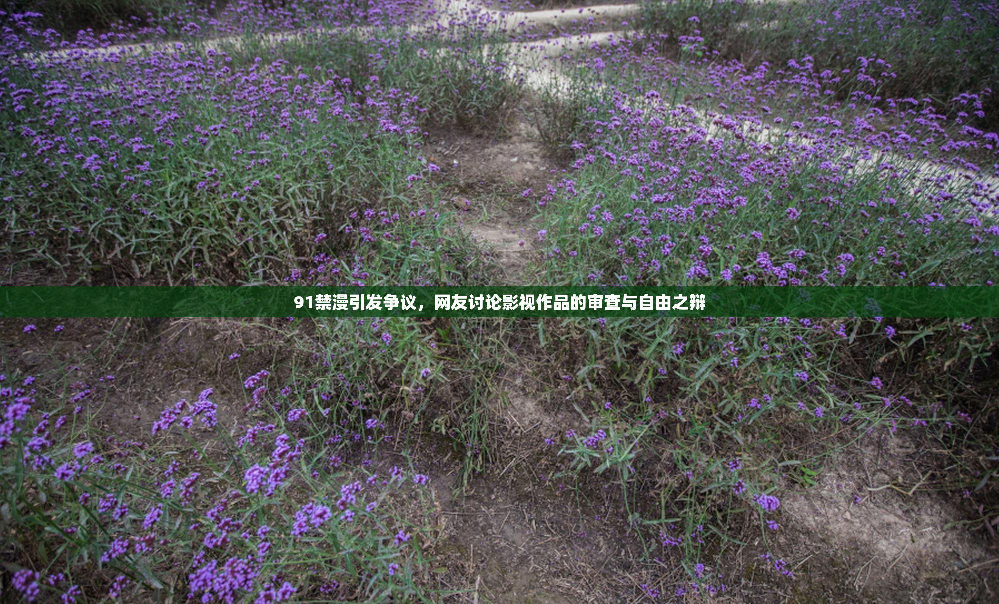 91禁漫引发争议，网友讨论影视作品的审查与自由之辩