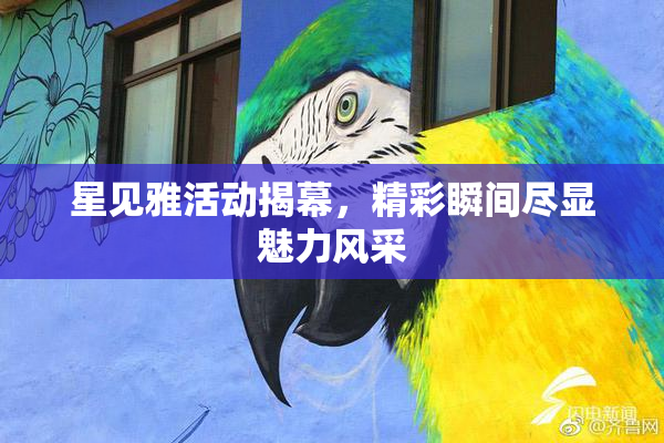 星见雅活动揭幕，精彩瞬间尽显魅力风采