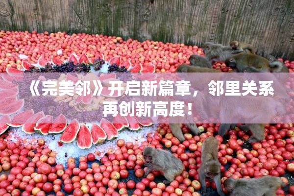 《完美邻》开启新篇章，邻里关系再创新高度！