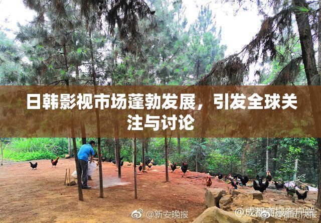 日韩影视市场蓬勃发展，引发全球关注与讨论