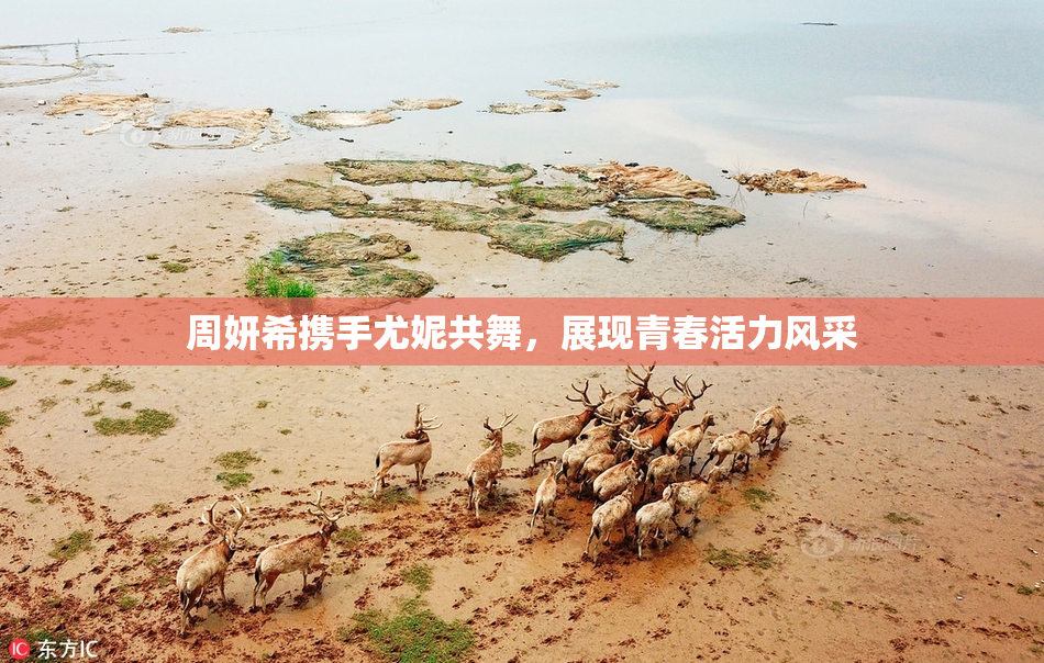 周妍希携手尤妮共舞，展现青春活力风采
